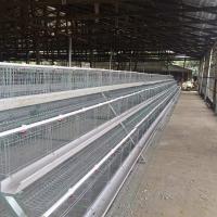 3 oiseaux galvanisés à chaud d'une cage 5000 de poulet de cadre de rangées à 10 000 oiseaux