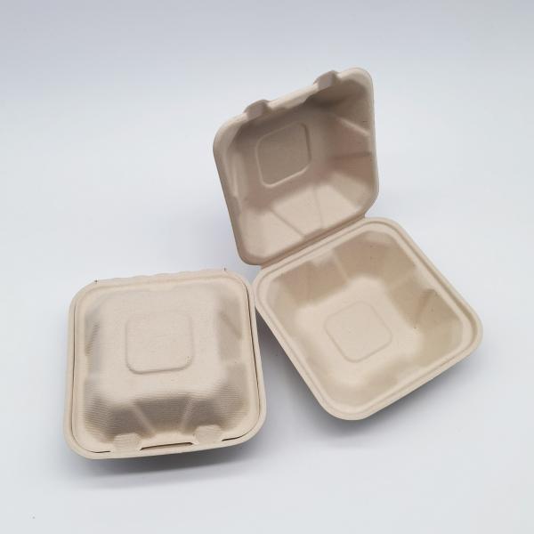 Eco Friendly Food Biodegradable Bagasse Tableware Sugarcane Containers For Camping