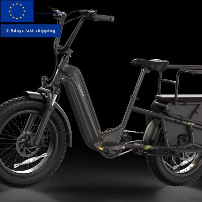 Hot Sale Carbon Steel Frame 7-Speed Double Lithium Battery 20 Inch Hydraulic