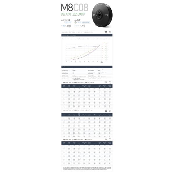 M8CO8 IPE V2 Brushless DC Motor for Industrial