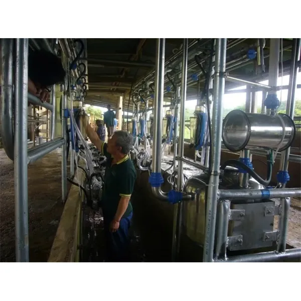 HL-G1 Herringbone Structure Milking Parlor with 380V/50Hz Power and CE ISO SGS FDA Certification