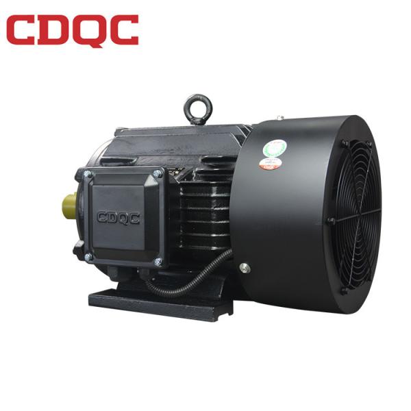 Black Flange Mounted Motor 0.75kW-22kW IP54 With Thermal Protector Encoder