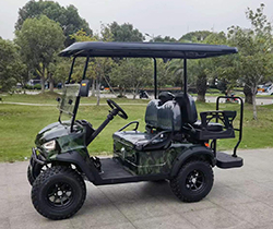 Electric Golf Cart with 2 Seater Lake Horse Transaxle Front LED Headlight