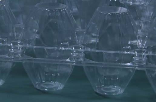 Clear 30 Cell Disposable Plastic Egg Container With Lid For Shockproof Egg Storage Transport