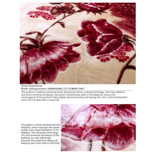 Customized Pattern Luxury 100% Polyester Raschel Mink Blanket with Microfiber Fabric