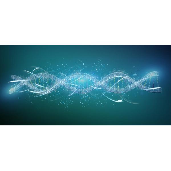 Oligo Synthesis Equipment For Molecular Diagnostics Sequencing And QPCR