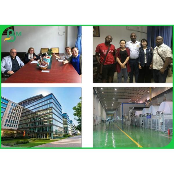 Бумага Кот-д'Ивуар сопротивления к перегибам 250гсм 300гсм жесткости для коробки медицины Бумага Кот-д'Ивуар сопротивления к перегибам 250гсм 300гсм жесткости для коробки медицины