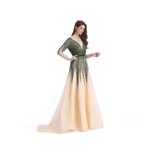 Beaded Lace European Style Long Backless Evening Dresses / Tulle Big Tail Beautiful Prom Dresses