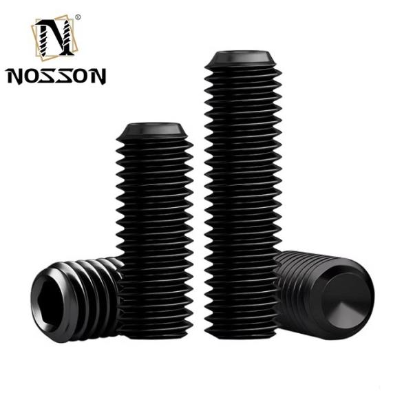 Pan Head Hexagon Allen Screw Flat Point OEM Brass Stainless Steel Hollow Screws with Custom Nylon Tip and Plain Finish