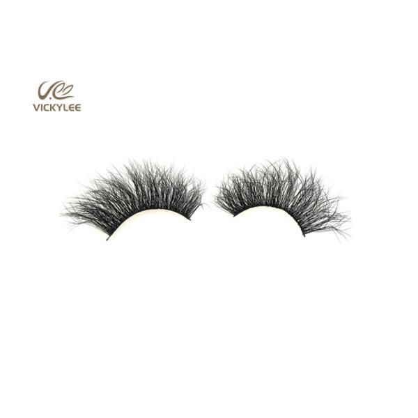 Sustained Plastic Stalk ODM Dramatic Fake Lashes