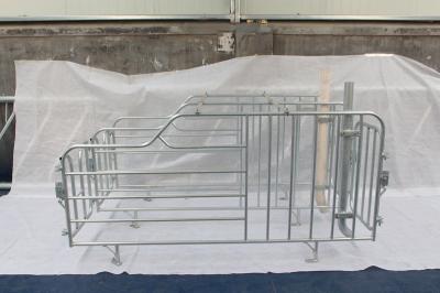 Corrosion Resistance Iron Pig Farrowing Crate Safe Feeding Place For Sow