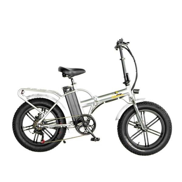 750W 1000W 48V Fat Tire 4.0 Folding Silver Frame 5 Spokes Electric Folding Bike 20 Inch