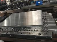 Base da modelagem por injeção de base de molde da pré-forma do ANIMAL DE ESTIMAÇÃO de S136 P20