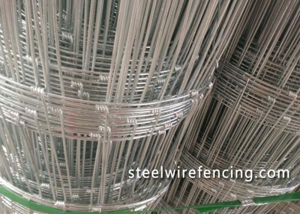 Galvanized Cattle Wire Fence / Knotted Wire Field Fence For Horse