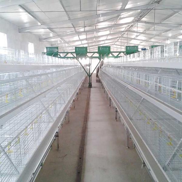 O sistema mergulhado quente da gaiola da galinha de grelha, aves domésticas de aço de Q235 High Tech prende