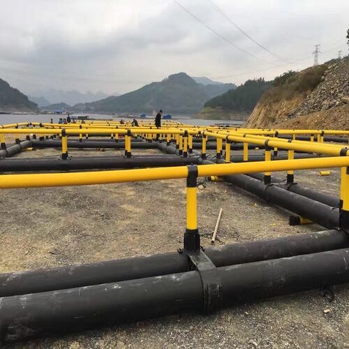 Customizable Size Wind Resistant Anti Corrosion HDPE Floating Fish Farming Cage for Large Scale Tilapia Breeding