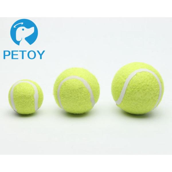 Activity Tough Safety Squeaky Tennis Balls For Dogs Long Service Life