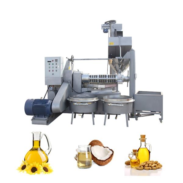 Машина прессы масла семени электрического контроля коммерчески с гарантией 1 года