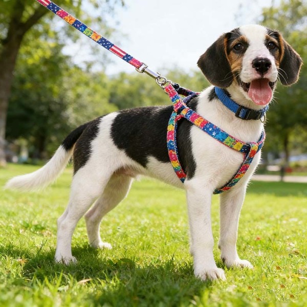 Factory Supply Heavy Duty Dog Harness Adjustable Fit For Small Medium Large Pets Wholesale Bulk Order