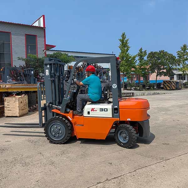 Duplex Mast Gasoline Powered Forklift 3000kgs Warehouse Equipment Forklift