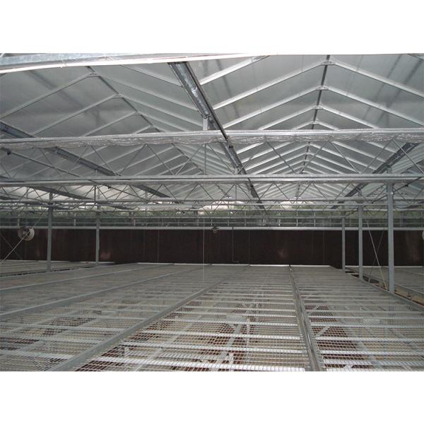 Многопролетная теплица Steel Flame, коммерческая стеклянная теплица с зимним укрытием и гидропонной системой