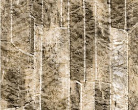 3003H24 H26 Алюминиевая катушка ПВДФ Стенная крыша Лист печати Цветовая катушка Деревянное зерно 50-летняя гарантия Цветно покрытая катушка