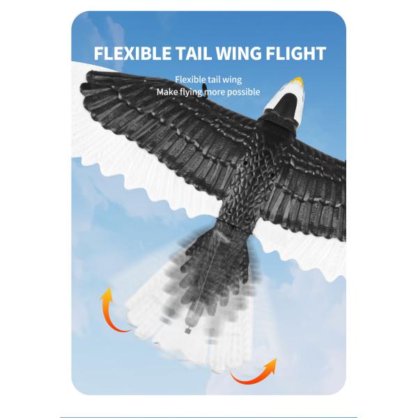 Features RTF 3ch Epp Foam Rc Simulation Wingspan Bald Eagle 2.4g Rc Glider Airplane Toys with 14 Years up Age Range