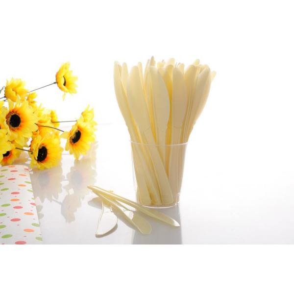 Disposable plastic knife for Sweet food bread cake knife fruit knife
