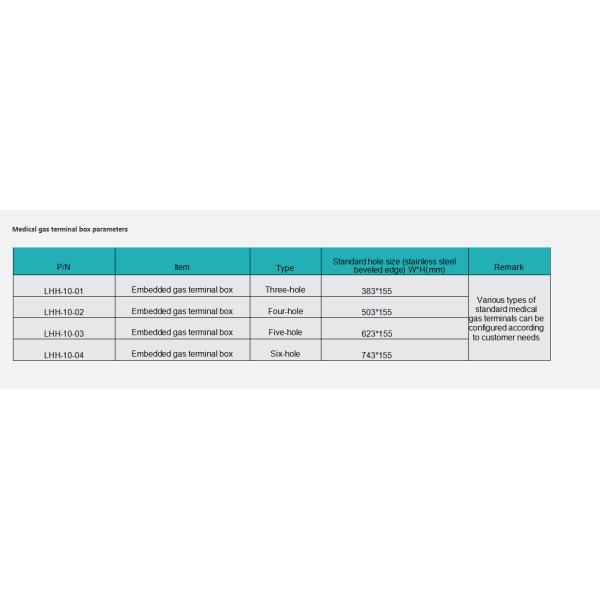 ISO 7396-1 Certified Medical Gas Terminal Unit Hospital Grade Oxygen Terminal Unit Wall Mounted