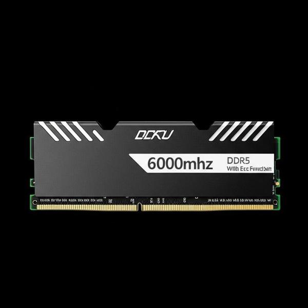 LASTINGIN DDR5 RAM 64GB 6000MHz ECC Memory Module