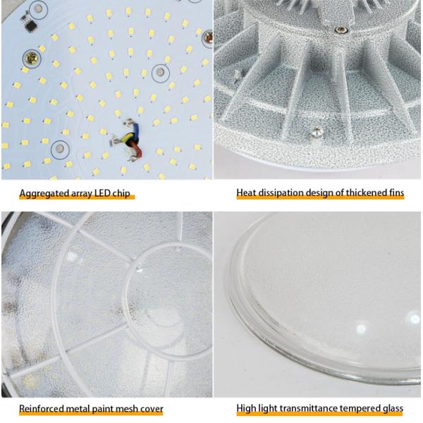30W 50W 100W 200W Led Explosion Proof High Bay Light 110lm Luminous Flux for Warehouse