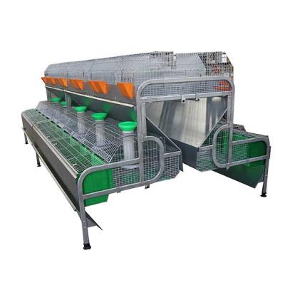Da gaiola comercial do coelho da exploração agrícola de 12 Mums beber de elevação alto de Smart da eficiência/que alimenta