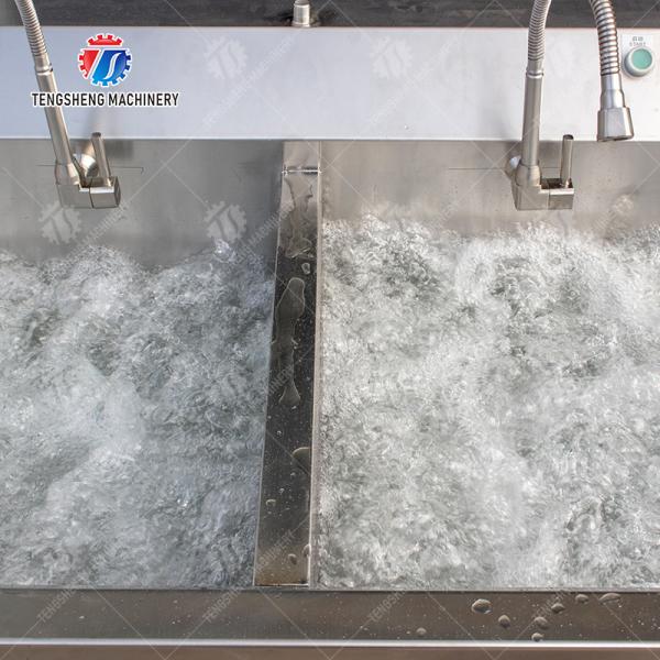 Fruit Orange Leaves Vegetables sward beans  Herbs Fruiting vegetables Wash Washer Washing Cleaning processing production Double cylinder fruit and vegetable washing machine