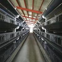 pássaro galvanizado quente do fio 275g/M2 que produz as gaiolas, gaiolas enriquecidas 2.5mm para galinhas poedeiras