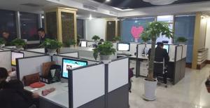 sichuan zhenkun biotechnology co., ltd