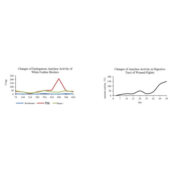 20000U White Alpha Amylase Powder Cas 9000 90 2 For Premix -Heat Stable Alpha Amylase