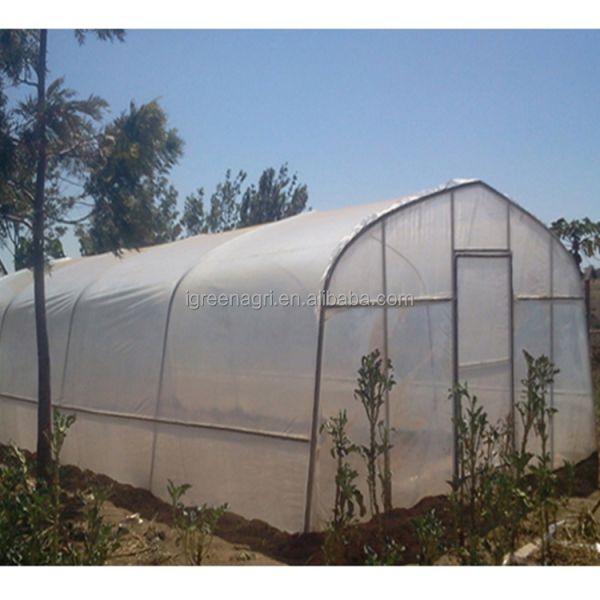 Agricultural Single-Span Small PE Polytunnel Greenhouse for Outdoor Gardens with Natural Tunnel Design