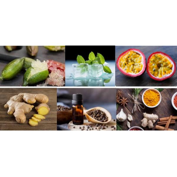 Pure 212 VIP MEN Fragrance Perfume Oils 10ml / Bottle