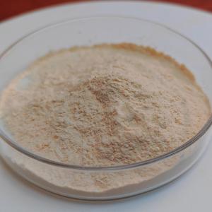 alpha amylase and glucoamylase 100000U/G providing enzyme preparation sample and