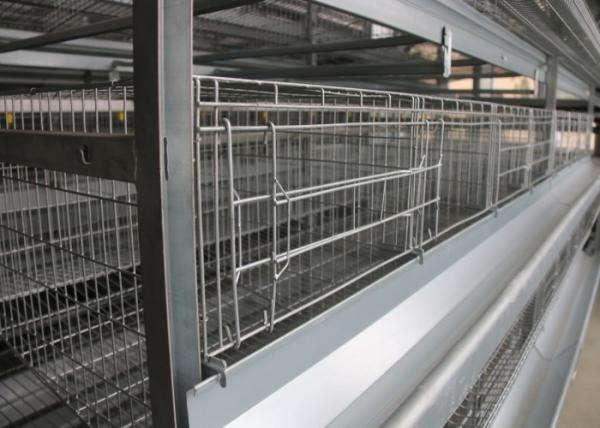 Energy Saving Layer Chicken Cage No Broken High Compressive Capacity