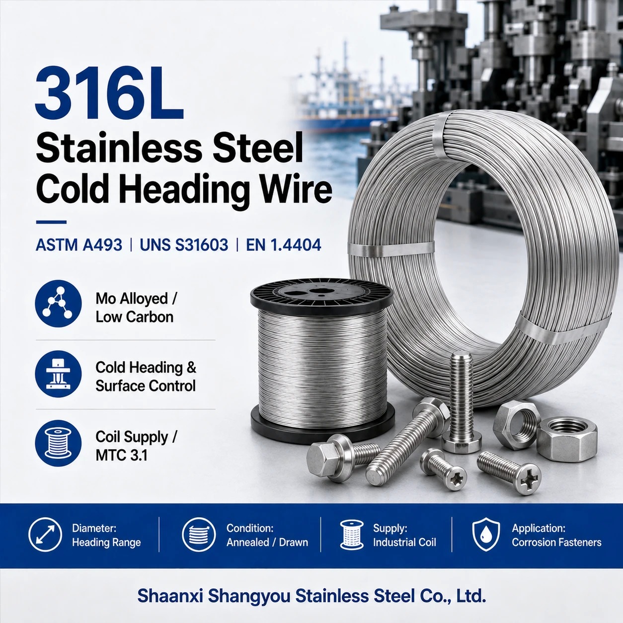 ASTM A493 316L Stainless Steel Cold Heading Wire for Bolts and Screws