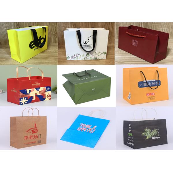 Silver Foil CMYK Colors Printed Coated Kraft Paper Packaging Bags 250gsm