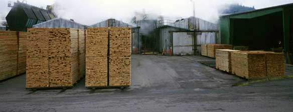 Lumber Mill Kiln Полностью автоматическая печь для быстрой сушки древесины для мягкой древесины 30 - 150 м3