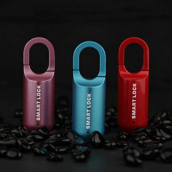 Best Selling RARLUX Smart Finger Print Zinc Alloy Padlock IP65 Waterproof Rechargeable 110mAh Battery 10 Fingerprint Lock School
