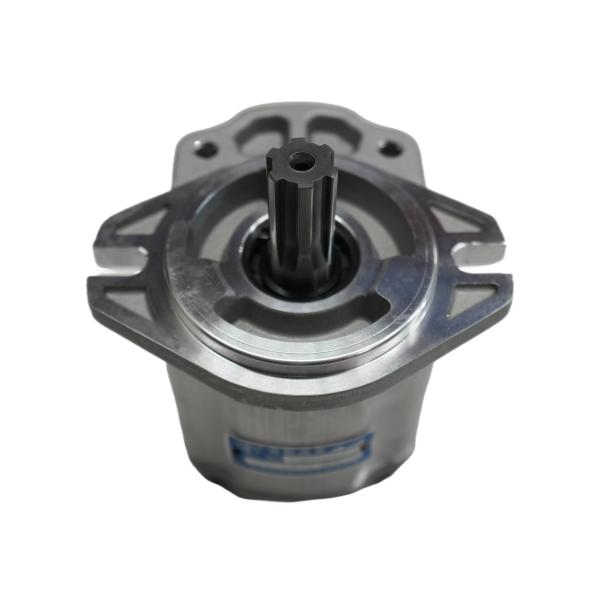 Changyuan Hydraulic Gear Oil Pump for Sanitation Vehicles, Dual-Function Oil Circuit Hydraulic Pump