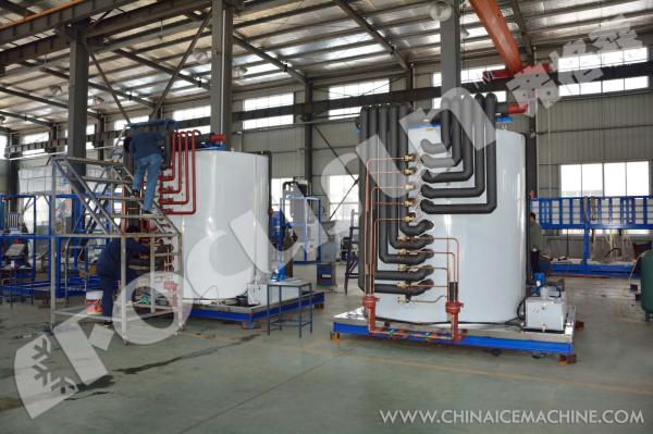Stainless Steel 304 Industrial Flake Ice Compactor for 40T Ice Bar Production in Africa