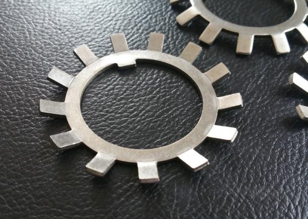 SS304 SS316 MS Steel Lock Washer with External Teeth Serrated in MB01-MB20 Sizes Packed in Cartons