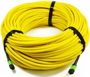 Manutenção programada Ofnp do núcleo do núcleo 48 do cabo 24 do tronco da fibra