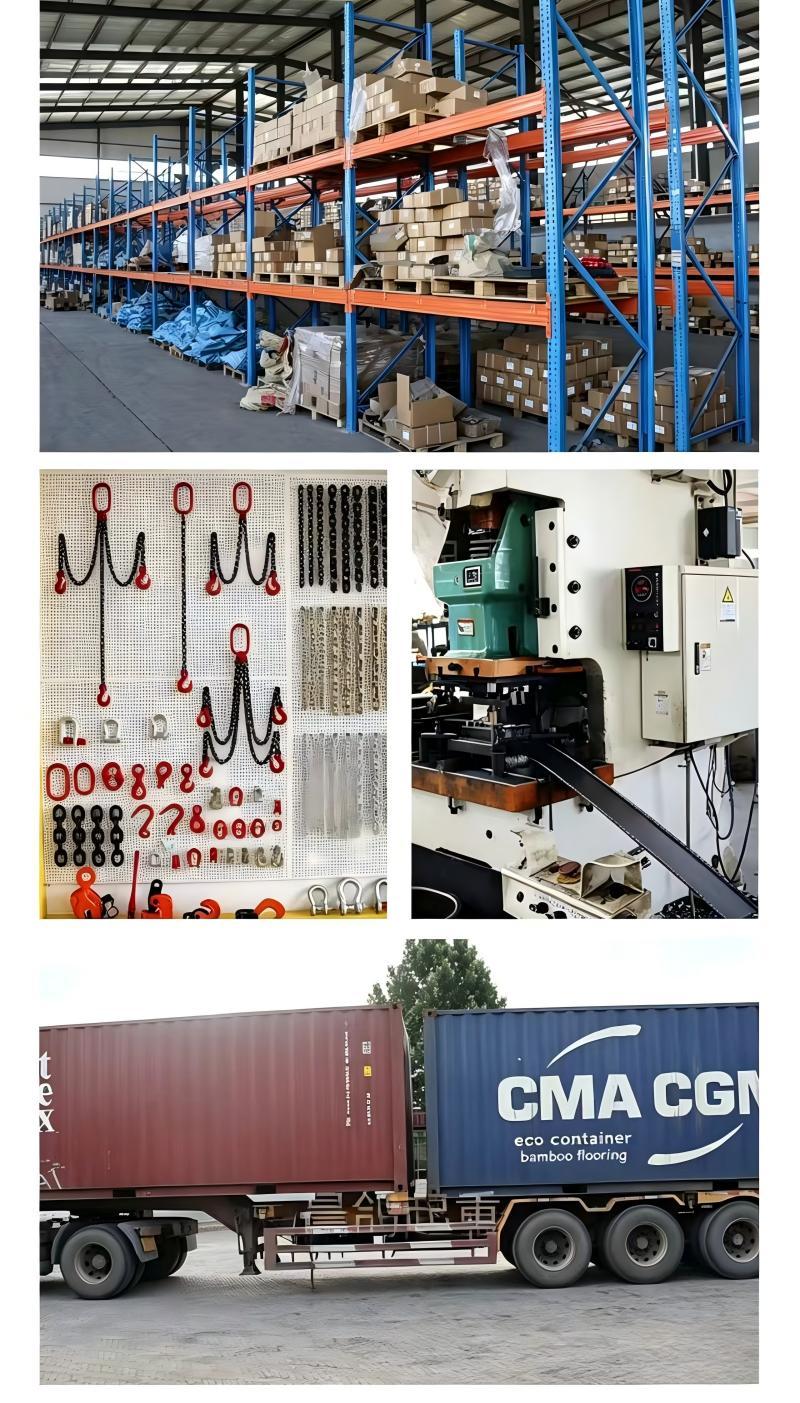 360 Degree Rotating Chain Sling Hook G80 Crane Hoist Hook With Latch