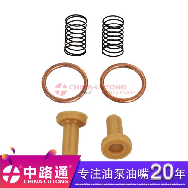 Common Rail Fuel Injector 0445120344     for  （WEICHAI）WP12 F3000、M3000、X3000